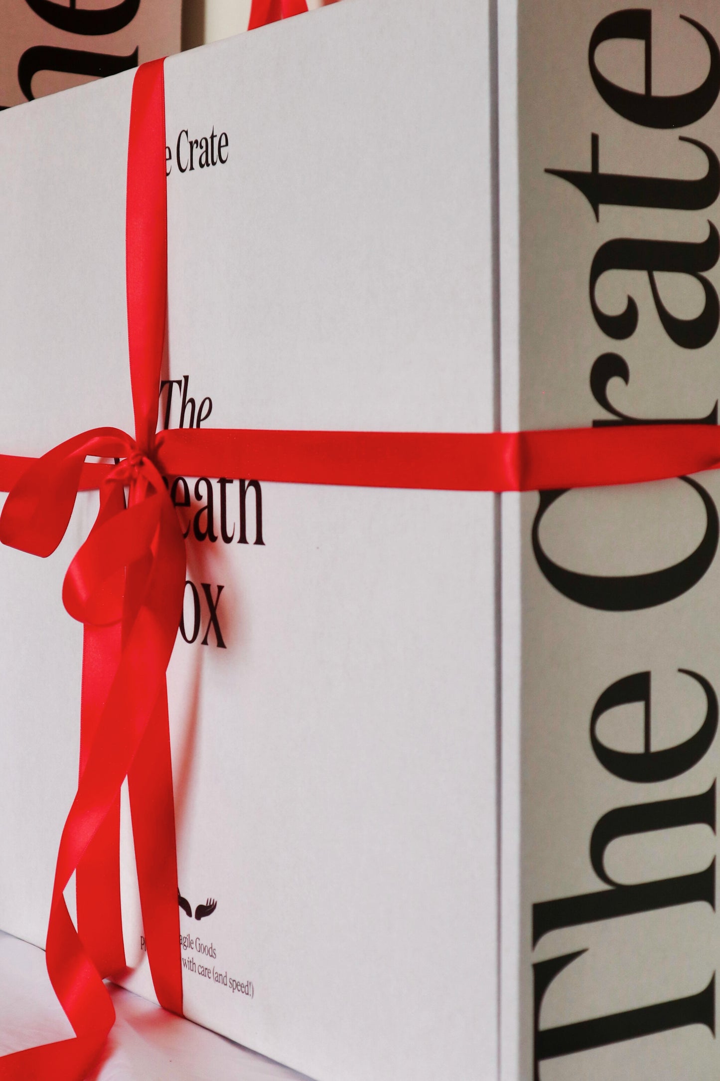 THE DIY CHRISTMAS WREATH KIT