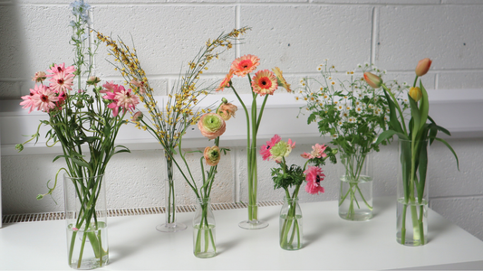 Spring Blooms in the Studio: A Few of Our Favourite Flowers This Season