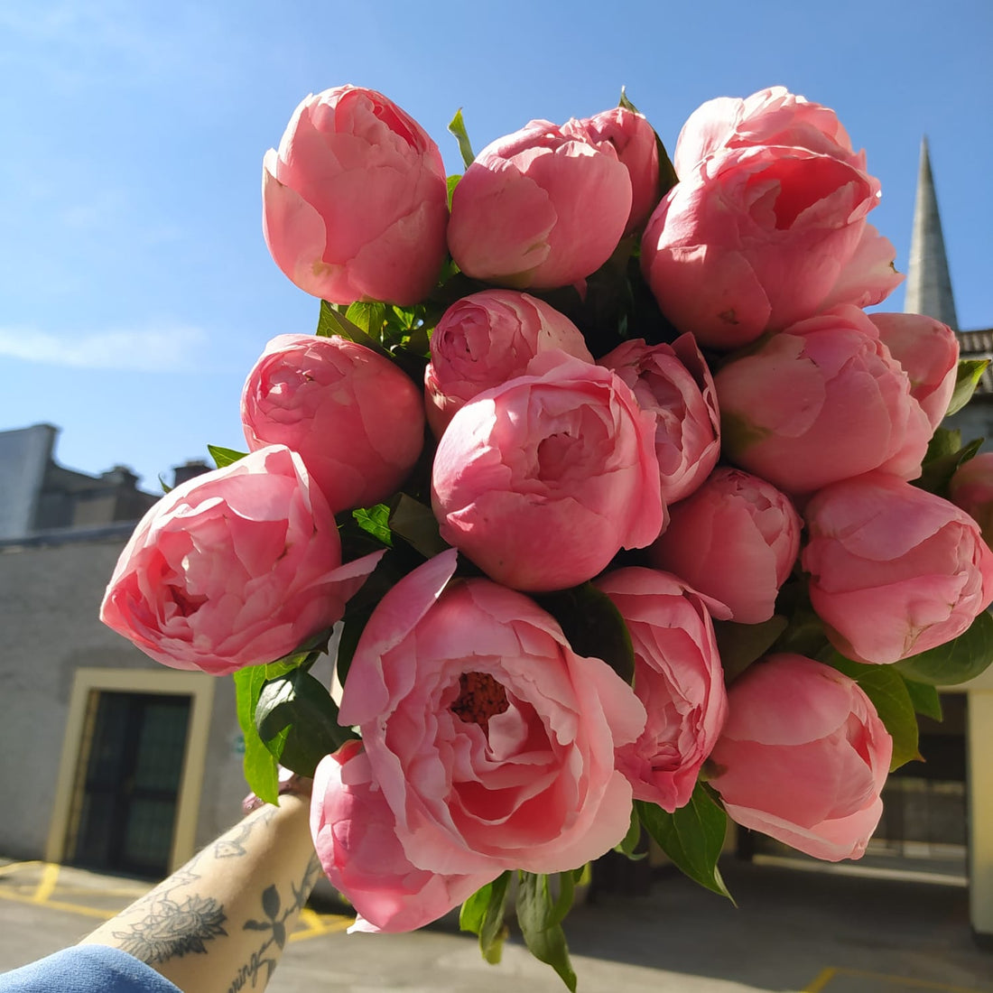 Peony Bunch