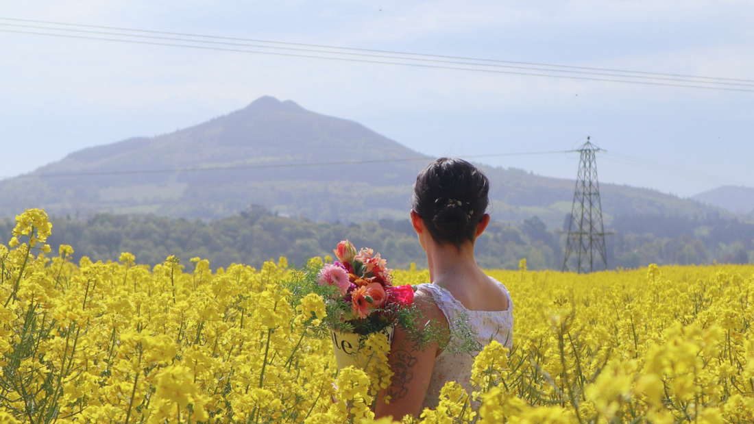 Field Day with The Crate: Beyond The Studio Walls