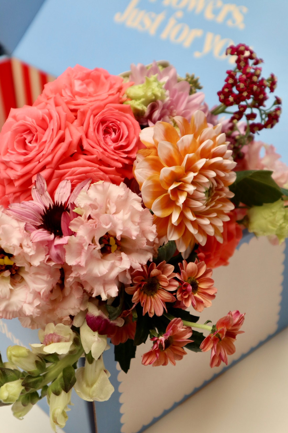 Entering the Season of the Dahlia: Why It’s the Ultimate Summer Gift