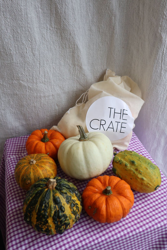 The Magic of Samhain
