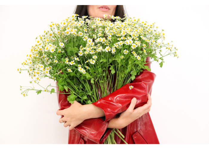 Woman holding daisies