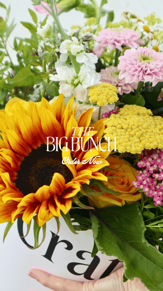 THE BIG BUNCH