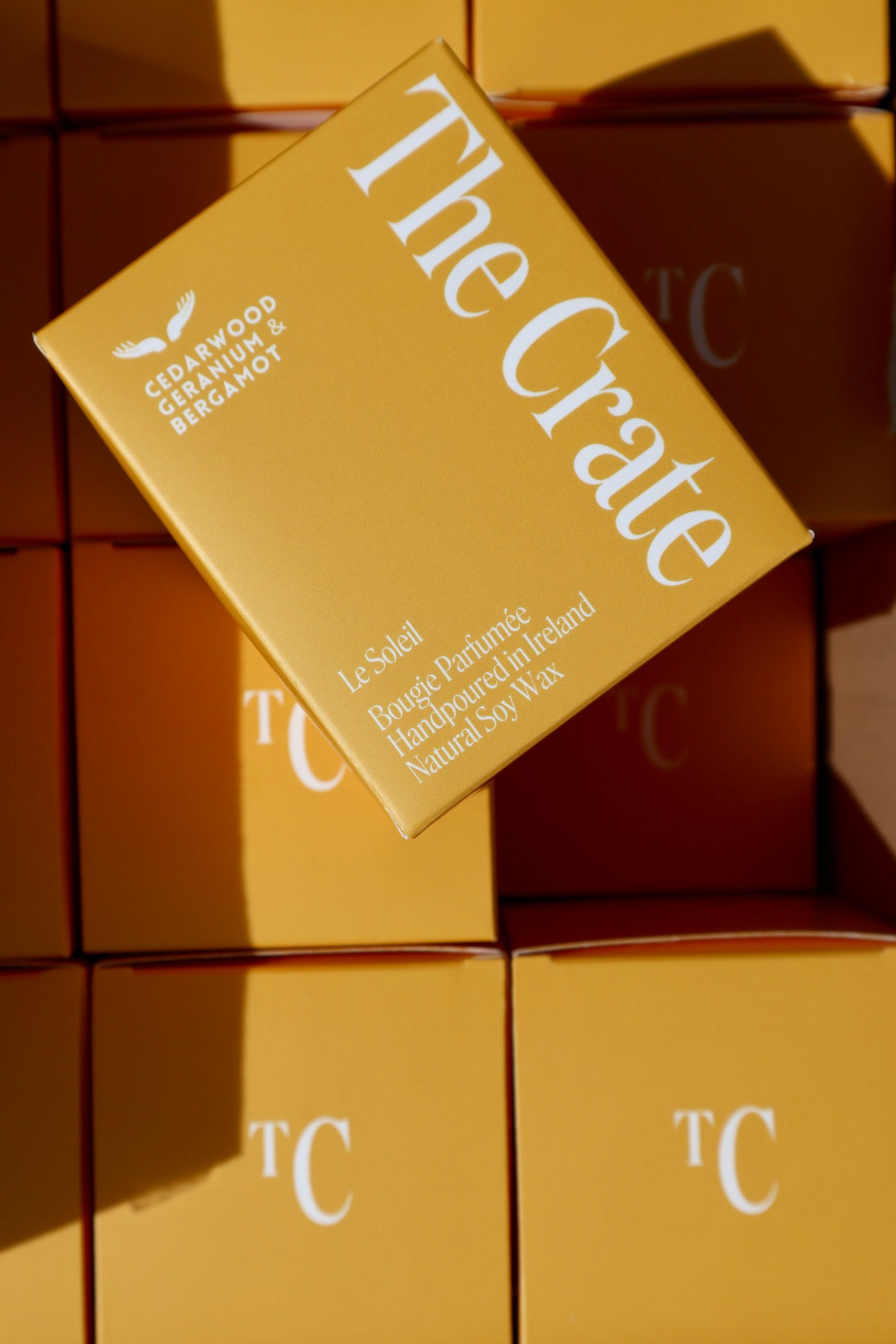 Carton Boxes packaging