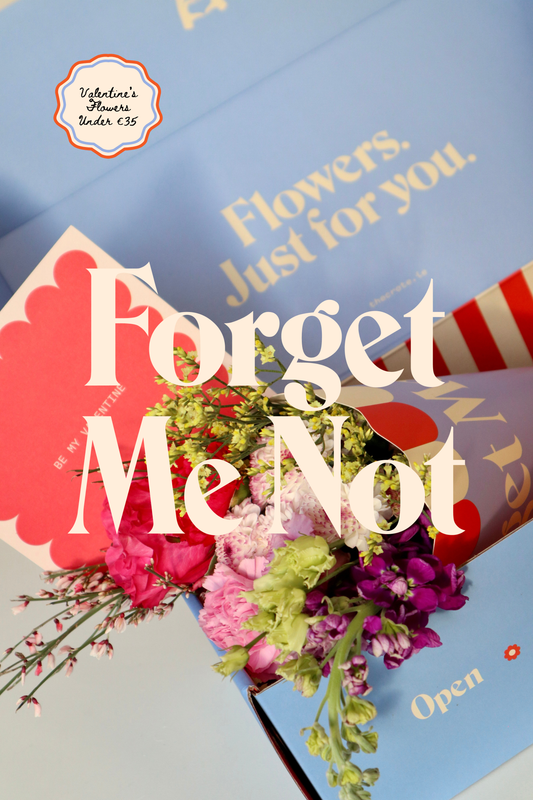THE FORGET ME NOT - VALENTINE'S EDITION