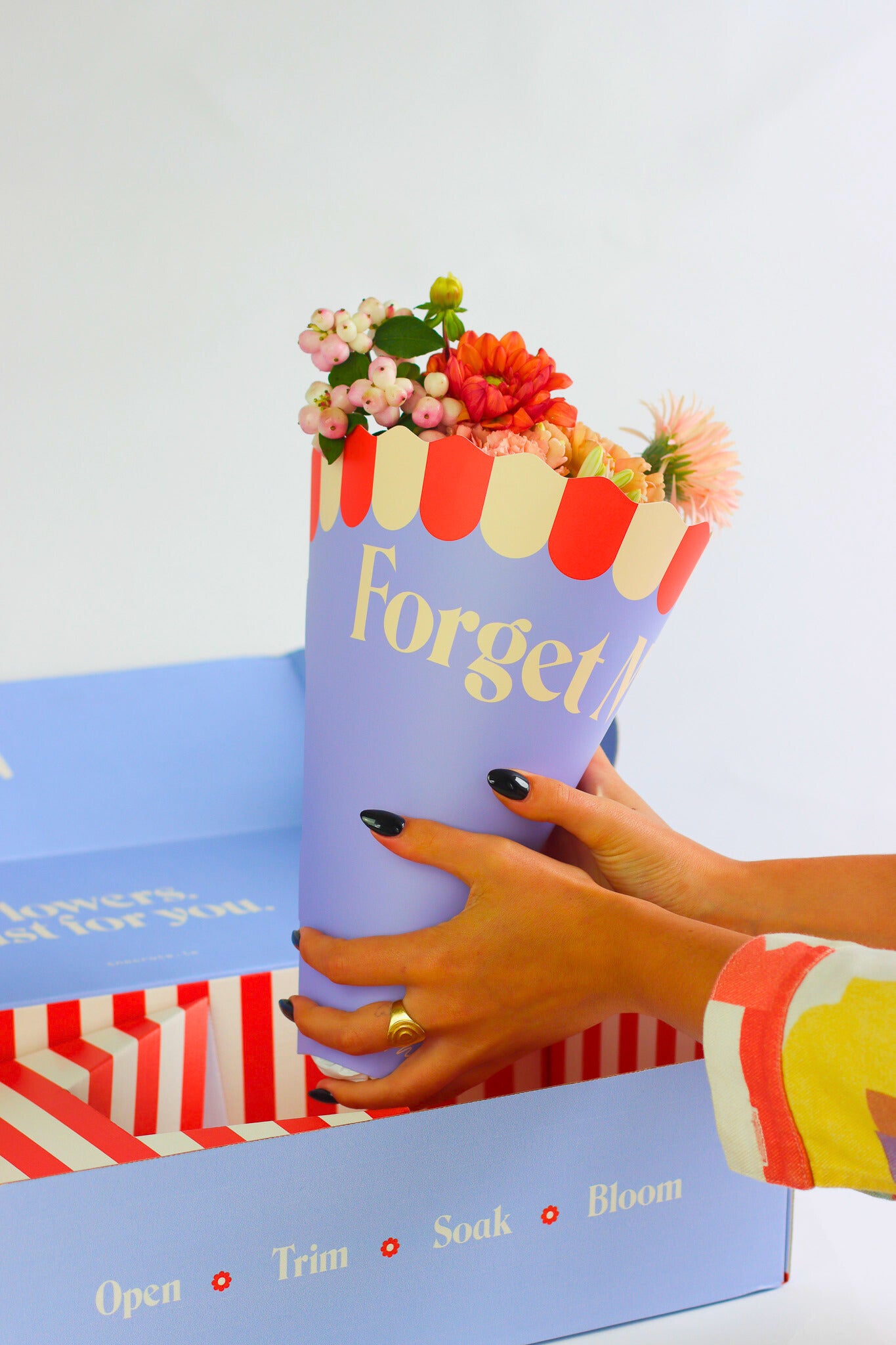 THE FORGET ME NOT
